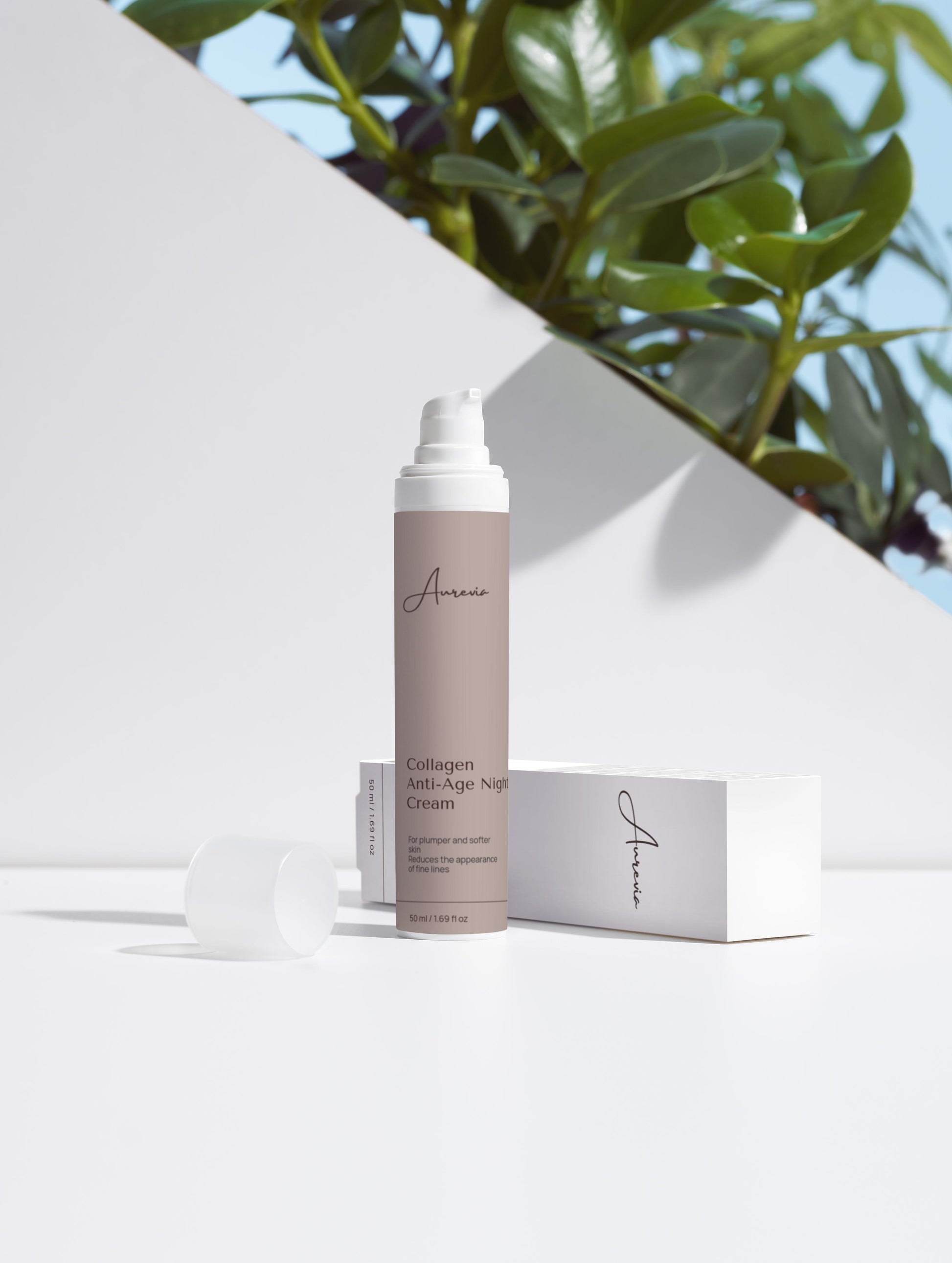 Anti-Aging Collagen Night Cream